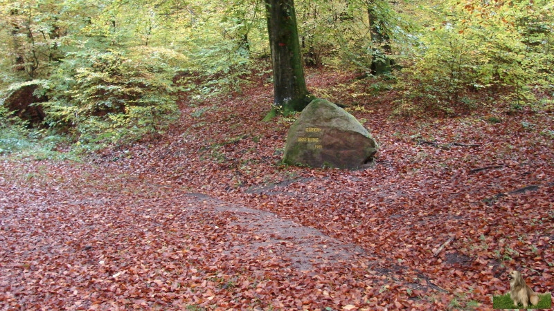 Ritterstein Nr. 214-4 Queich-Ursprung.JPG - Ritterstein Nr.214 Queich - Ursprung